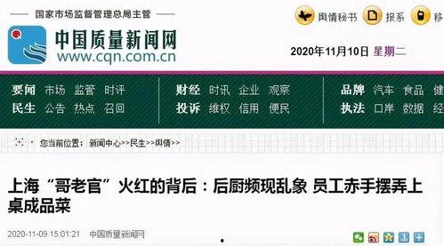 爆料安全官视频,深度解析网络安全漏洞与防护策略 第1张 爆料安全官视频,深度解析网络安全漏洞与防护策略 第1张