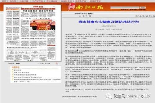 南阳 新闻 爆料,揭秘背后真相，探寻事件真相